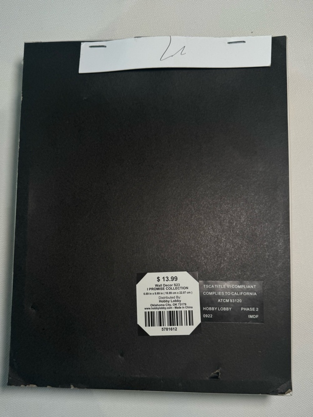 NWT - HOBBY LOBBY Beige Deep Framed Print with White Bird Detail - Picture 2 of 4